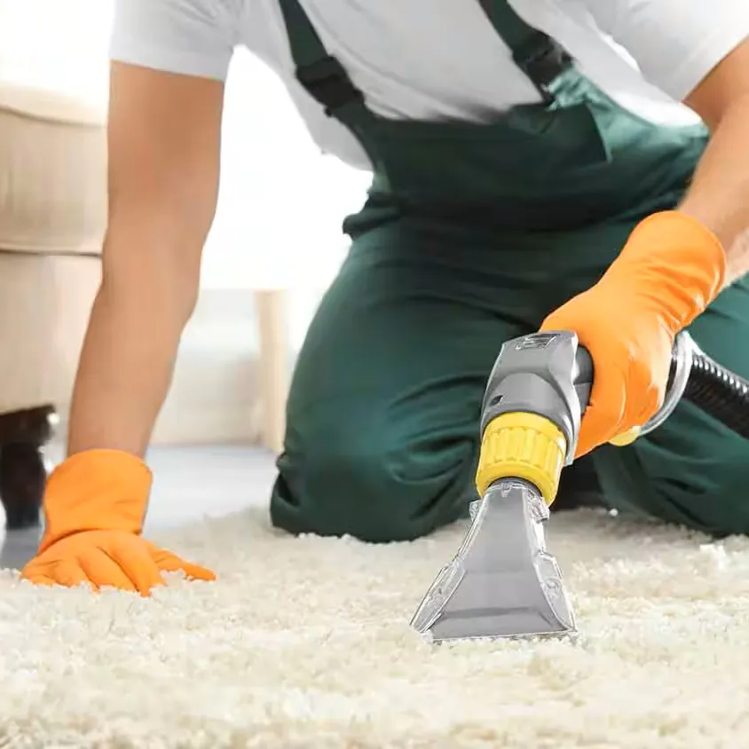 carpet-cleaner-removing-dirts