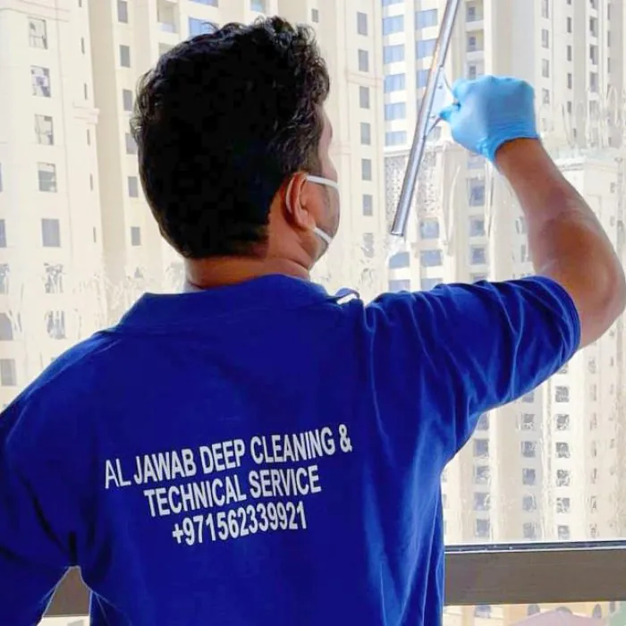 Window Cleaning service